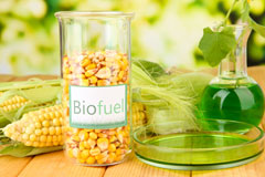 Goverton biofuel availability
